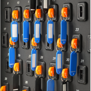 Электронная ключница RusGuard KeyKeeper-48